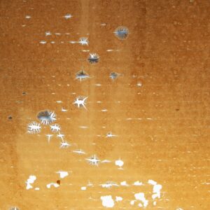 DSF0938a
