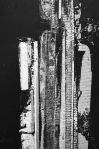 DSC5024