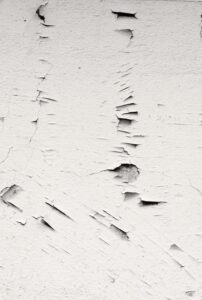 DSCF1196a