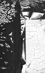 DSCF1754b