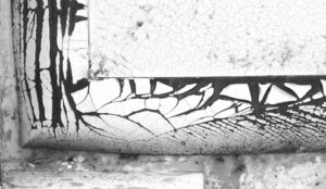 DSCF1758a