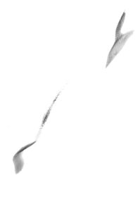 DSCF2120a