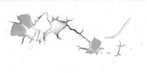DSCF2240a