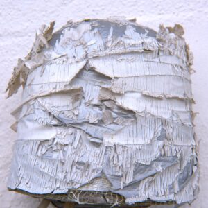 DSCF2366a