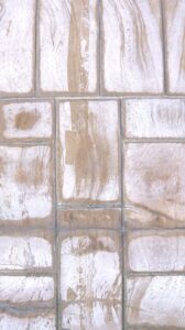 DSCF2537a