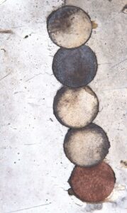 DSF0708a