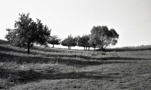 img073b
